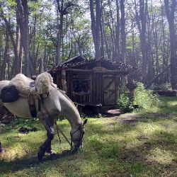 Ushuaia | Foto:CEDOC