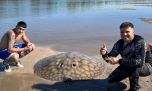 Una lucha épica en kayak: así fue la captura de una enorme raya en el arroyo Feliciano