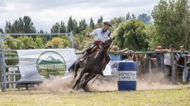 La Expo Rural Bariloche se hará del 13 al 15 de febrero.
