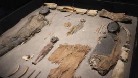 Las criaturas momificadas de la cultura chinchorro desconcertaron durante décadas por su pequeño volumen cerebral.