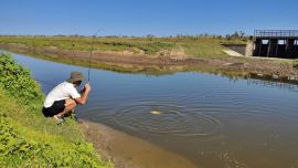 Aunque la regla es general, el sistema no es uniforme en todo el país. Cada jurisdicción define su propia reglamentación, con diferencias en costos, vigencia y alcance del permiso.