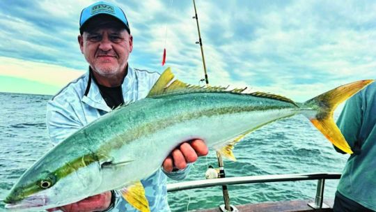 ¡Un febrero amarillo, a puro limón, en tu revista Weekend!