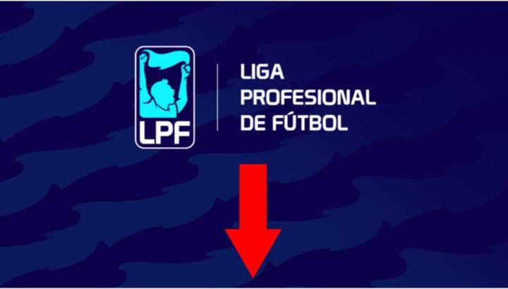 Liga Profesional