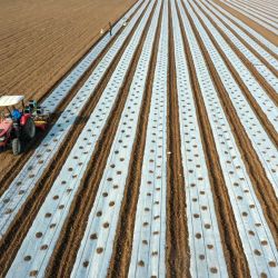 Vista aérea tomada con un dron de un agricultor operando maquinaria agrícola en el campo, en la aldea Nanli de la ciudad de Qinyang, en la provincia de Henan, en el centro de China. | Foto:Xinhua/Yang Fan
