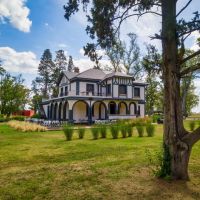 Tres Pinos: volver a la infancia, proyectar el futuro