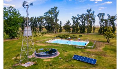 Tres Pinos: volver a la infancia, proyectar el futuro