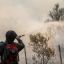 Firefighters battle blazes in Patagonia, 60,000 hectares destroyed 