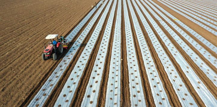 Vista aérea tomada con un dron de un agricultor operando maquinaria agrícola en el campo, en la aldea Nanli de la ciudad de Qinyang, en la provincia de Henan, en el centro de China.