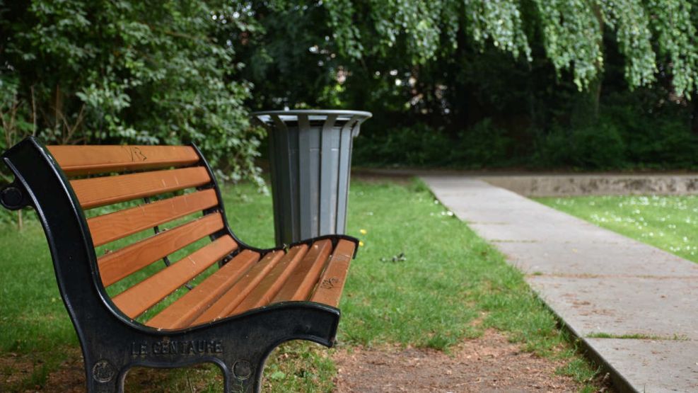 Errores más comunes al diseñar un jardín 20250205