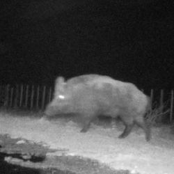 Las autoridades locales señalaron que el foco de mayor riesgo se dará a partir de abril