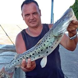 0602_mapa_pique_pesca