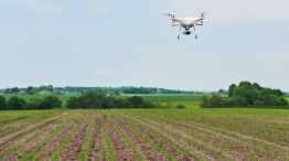 Boom de drones en el agro