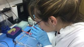 Cada día de la administración Milei perdieron el trabajo siete científicos