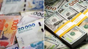 07_02_2026_peso_dolar_cedoc_g