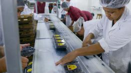 080226_trabajo_mujer_genero_na_g