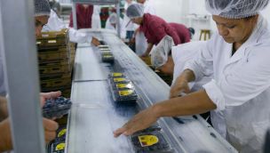 080226_trabajo_mujer_genero_na_g