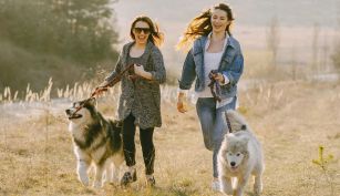 La salud de los signos según la IA