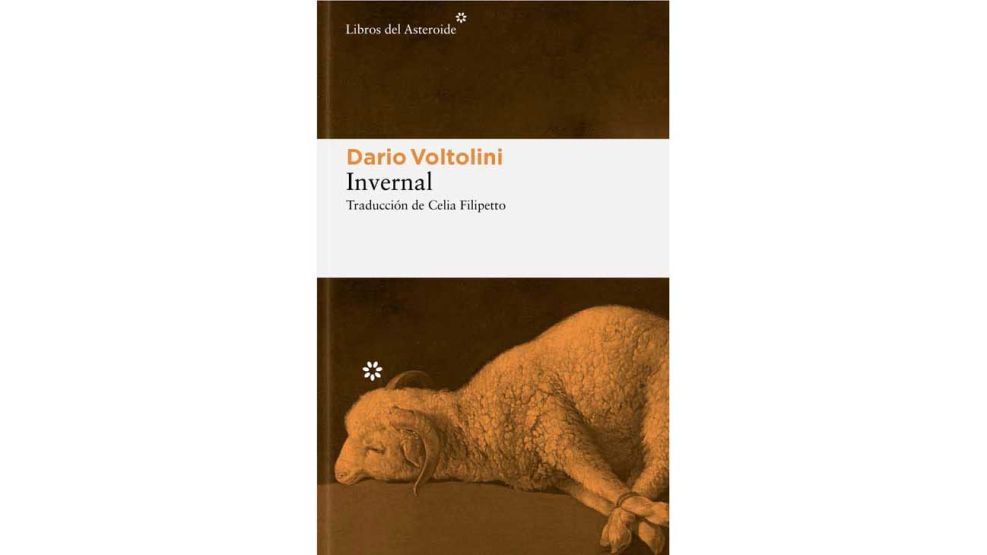 08_02_2026_dario_voltolini_cedoc_g