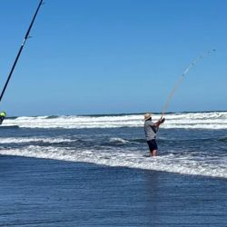 La 64ª edición de las 24 Horas de la Corvina Negra dejó pesca, emoción, polémica y, sobre todo, la voz de miles de pescadores que siguen sosteniendo al concurso más grande del país.