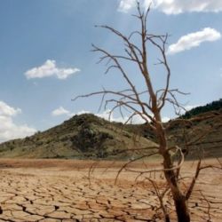 La cada vez mayor falta de agua preocupa a toda la humanidad.