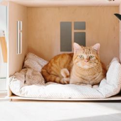 El rol de quienes se quedan a cargo del cuidado diario resulta fundamental.