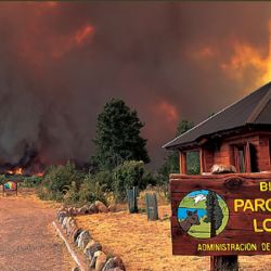  Actualmente, 278 personas trabajan en el terreno bajo jurisdicción de Chubut y Parques Nacionales,