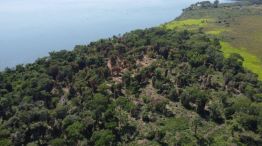 09-02-2026 Misiones operativos control forestal desmontes