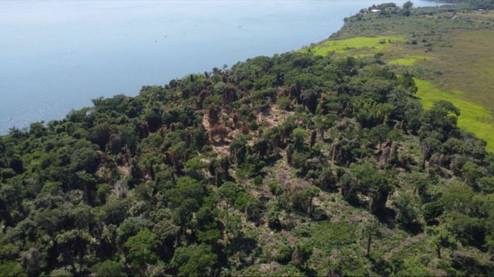 09-02-2026 Misiones operativos control forestal desmontes