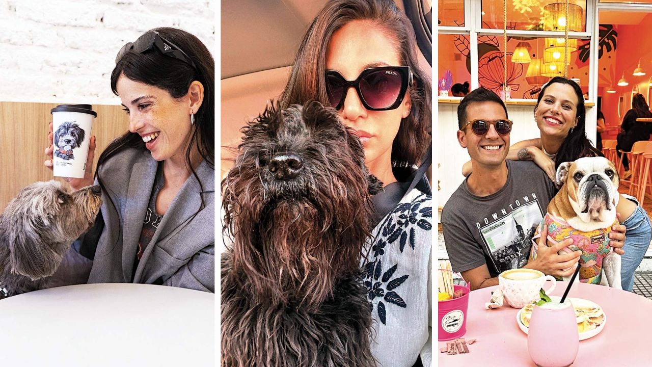 Las razas Golden Retriever, Pomerania y Bulldog Francés, son las más aclamadas en redes. En Argentina, Almendra, la perrita de Cande Molfese; y Mulata, de Silvina Escudero, tienen sus propios seguidores en redes. | Foto:Cedoc