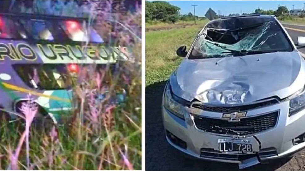 Choque fatal en Vera: murió un chofer de micro