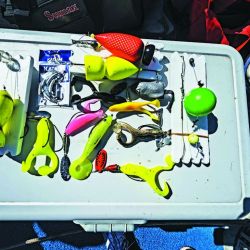 Dientudo como carnada y boyas Plop con sonajero fueron la mejor combinación para despertar a las tarariras que buscamos en los juncales cercanos a la costa, arrojando a unos 10 m de los bordes