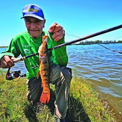 Dientudo como carnada y boyas Plop con sonajero fueron la mejor combinación para despertar a las tarariras que buscamos en los juncales cercanos a la costa, arrojando a unos 10 m de los bordes