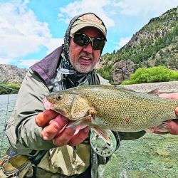 El último tramo del río Traful discurre por un valle de una belleza sin igual. Es de un vadeo bastante accesible y las buenas truchas suelen estar pegadas a la costa, entre palos y ramas. 