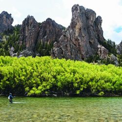 El último tramo del río Traful discurre por un valle de una belleza sin igual. Es de un vadeo bastante accesible y las buenas truchas suelen estar pegadas a la costa, entre palos y ramas. 