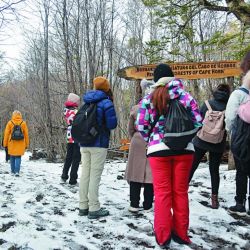 Increíble paisaje: los picos de Navarino de fondo, ladeando uno de los tantos espejos de agua que se atraviesan, y en plena nevada.