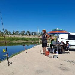 Uno de los puntos más concurridos es el tramo comprendido entre el Puente de los Huesos y la Autovía 6, donde las costas más limpias permiten un acceso relativamente cómodo, aunque aún faltan servicios básicos. 