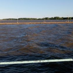 Durante el día, la variada de cuero se muestra floja, pero la jornada se vuelve más entretenida gracias a la presencia del dorado, que está dando capturas tanto de fondo como con boyón y bajada de acero.