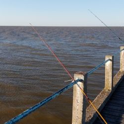 Durante el día, la variada de cuero se muestra floja, pero la jornada se vuelve más entretenida gracias a la presencia del dorado, que está dando capturas tanto de fondo como con boyón y bajada de acero.