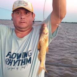 Durante el día, la variada de cuero se muestra floja, pero la jornada se vuelve más entretenida gracias a la presencia del dorado, que está dando capturas tanto de fondo como con boyón y bajada de acero.