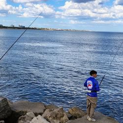 En la escollera del lado Quequén, hoy prevalecen pescadillolas, corvinotas, y por momentos palometas y sauros, con opciones tanto a fondo como al vuelo, especialmente en el morro.