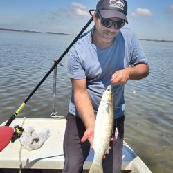 A diferencia de la pasada temporada, marcada por bajos niveles hídricos, este ciclo comenzó con ríos, canales y arroyos desbordados.