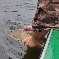 El lago Los Molinos volvió a demostrar por qué es uno de los escenarios más atractivos para la pesca deportiva en Córdoba, capaz de sorprender incluso a quienes lo visitan con frecuencia.