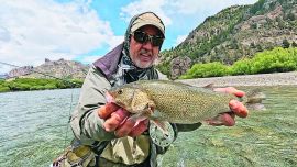 El último tramo del río Traful discurre por un valle de una belleza sin igual. Es de un vadeo bastante accesible y las buenas truchas suelen estar pegadas a la costa, entre palos y ramas.