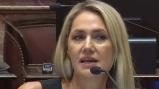"Las falsas denuncias representan apenas el 0,09%", advirtieron en "QR!" sobre el proyecto de Carolina Losada