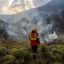 Scientific analysis says climate change fuelled conditions for Chile, Argentina wildfires