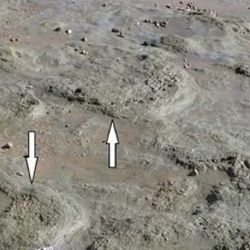 La marea baja dejó al descubierto las milenarias huellas de dinosaurios.