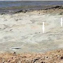 En 2025 se registraron otras huellas, de unos 140 millones de años, en la costa del Western Cape.