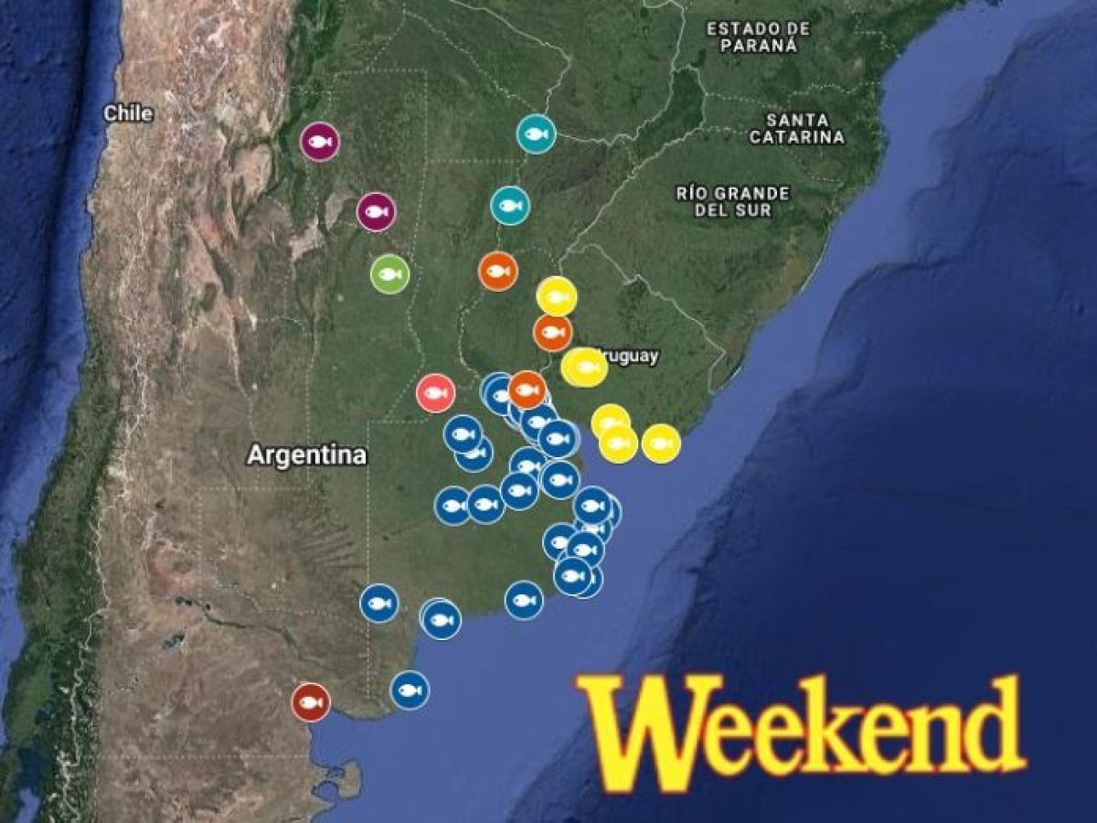 Pique: ¿Dónde pescar este fin de semana?