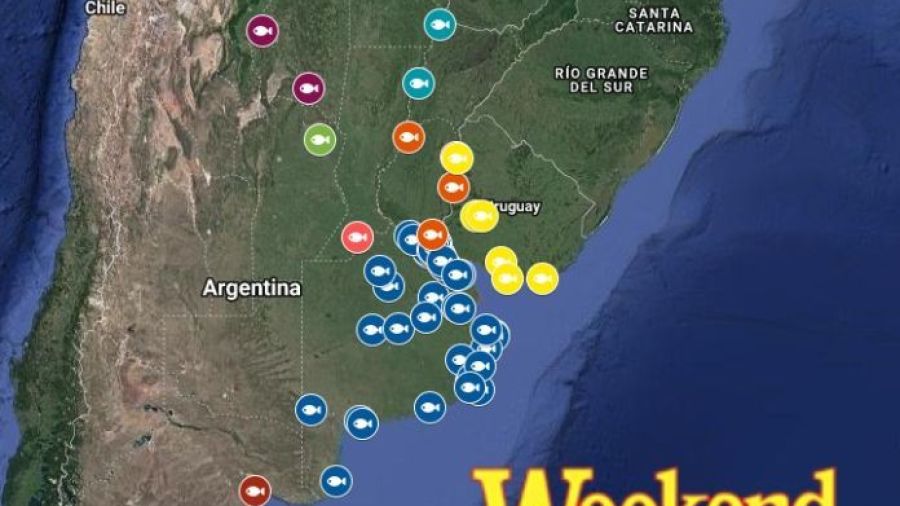 Pique: ¿Dónde pescar este fin de semana?