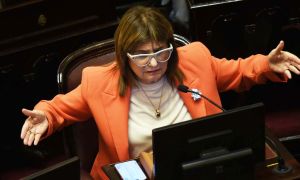 140226_patricia_bullrich_senado_cuarterolo_g